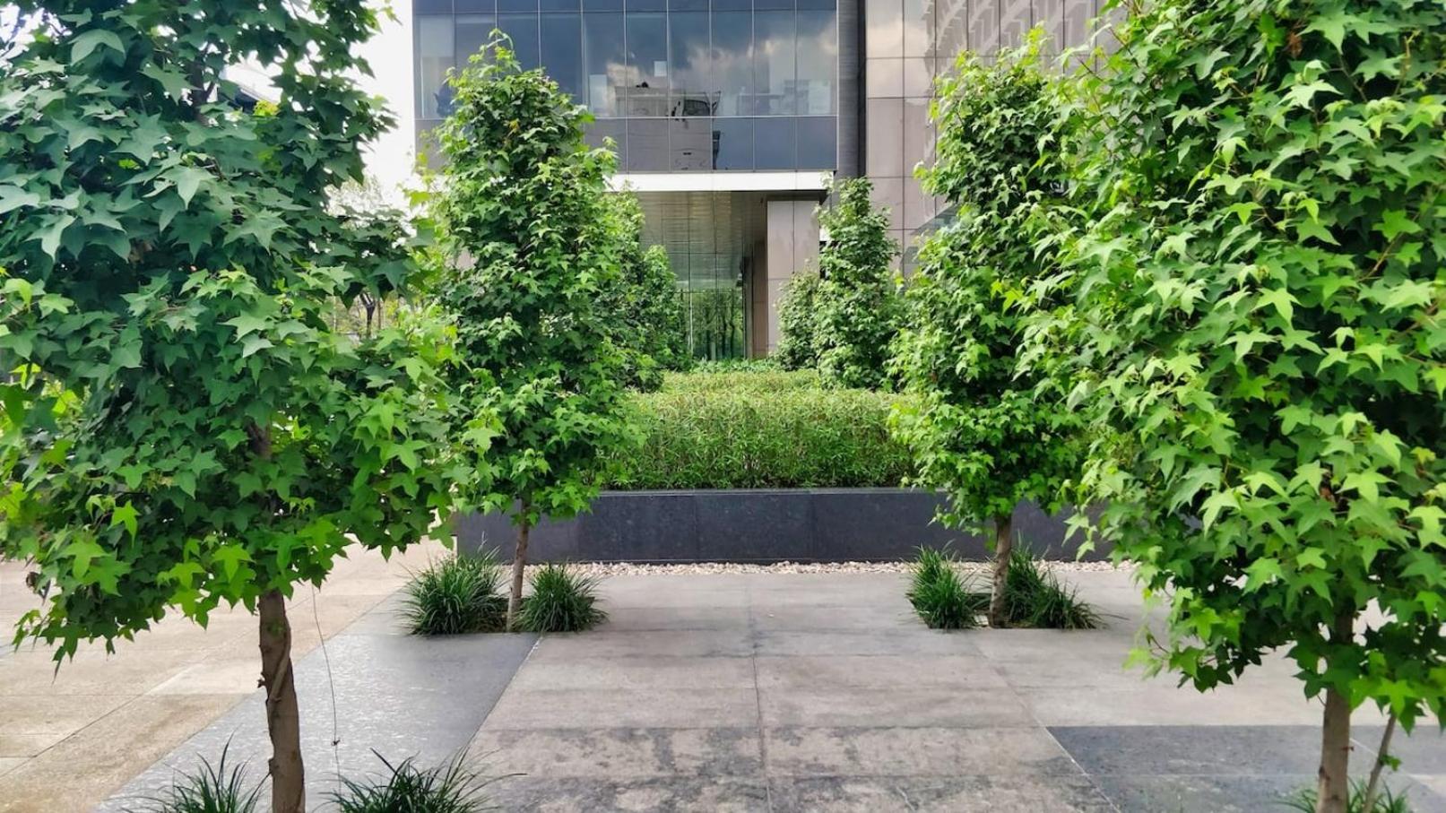 Luxurious High-Rise Hs Wifi, Amazing City Views Mexico City Luaran gambar