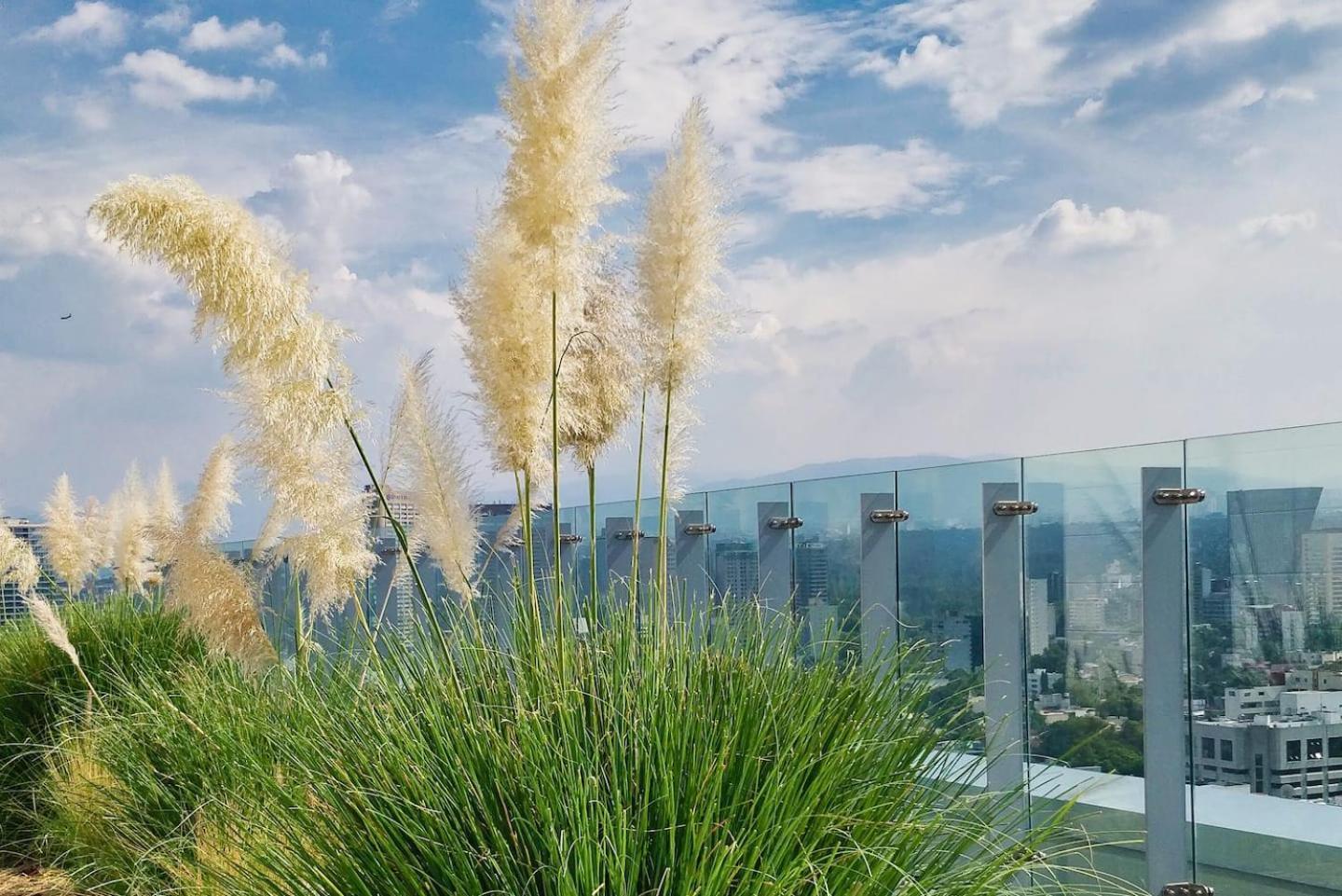 Luxurious High-Rise Hs Wifi, Amazing City Views Mexico City Luaran gambar